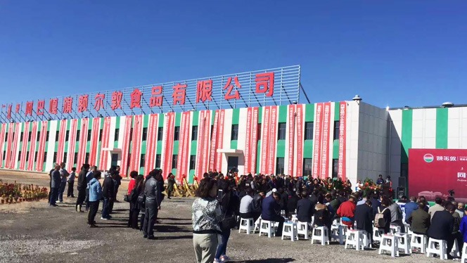 青島建華接下額爾敦公司班產(chǎn)100頭牛，3000只羊的屠宰流水線
